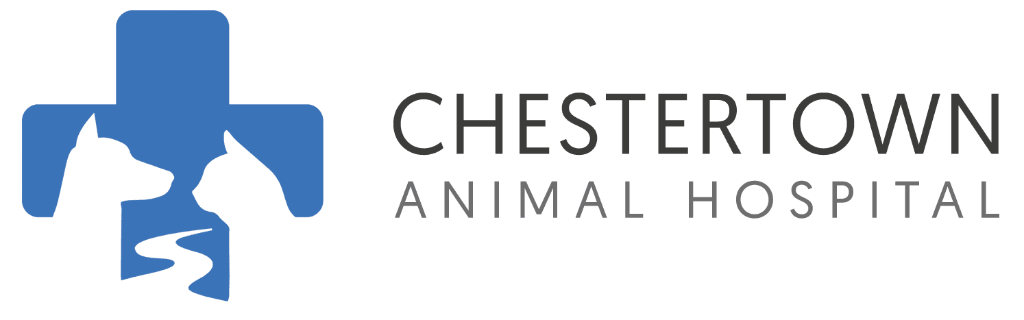 chestertown-animal-hospital-veterinarian-in-chestertown-md-1.png