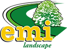 eni-landscape.png