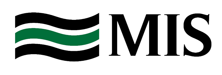 MIS (1)