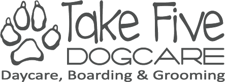 Take Five 2024 Gray Logo