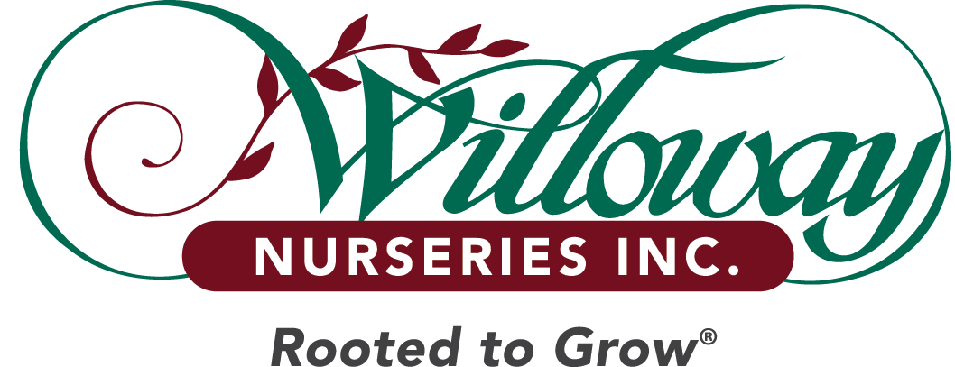 Willoway logo2