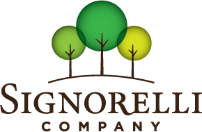 logo-signorelli-dark