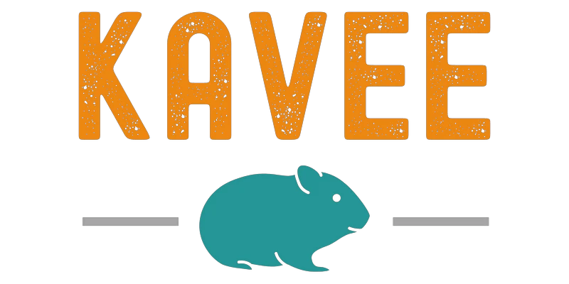 8c139205-7e72-4c08-a13e-6817ea60bb02 Large