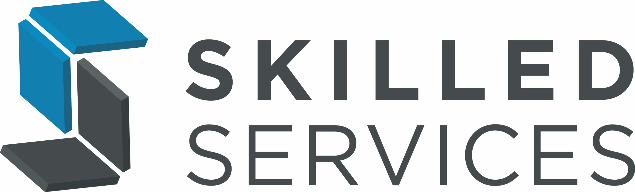 SS-Logo-2023