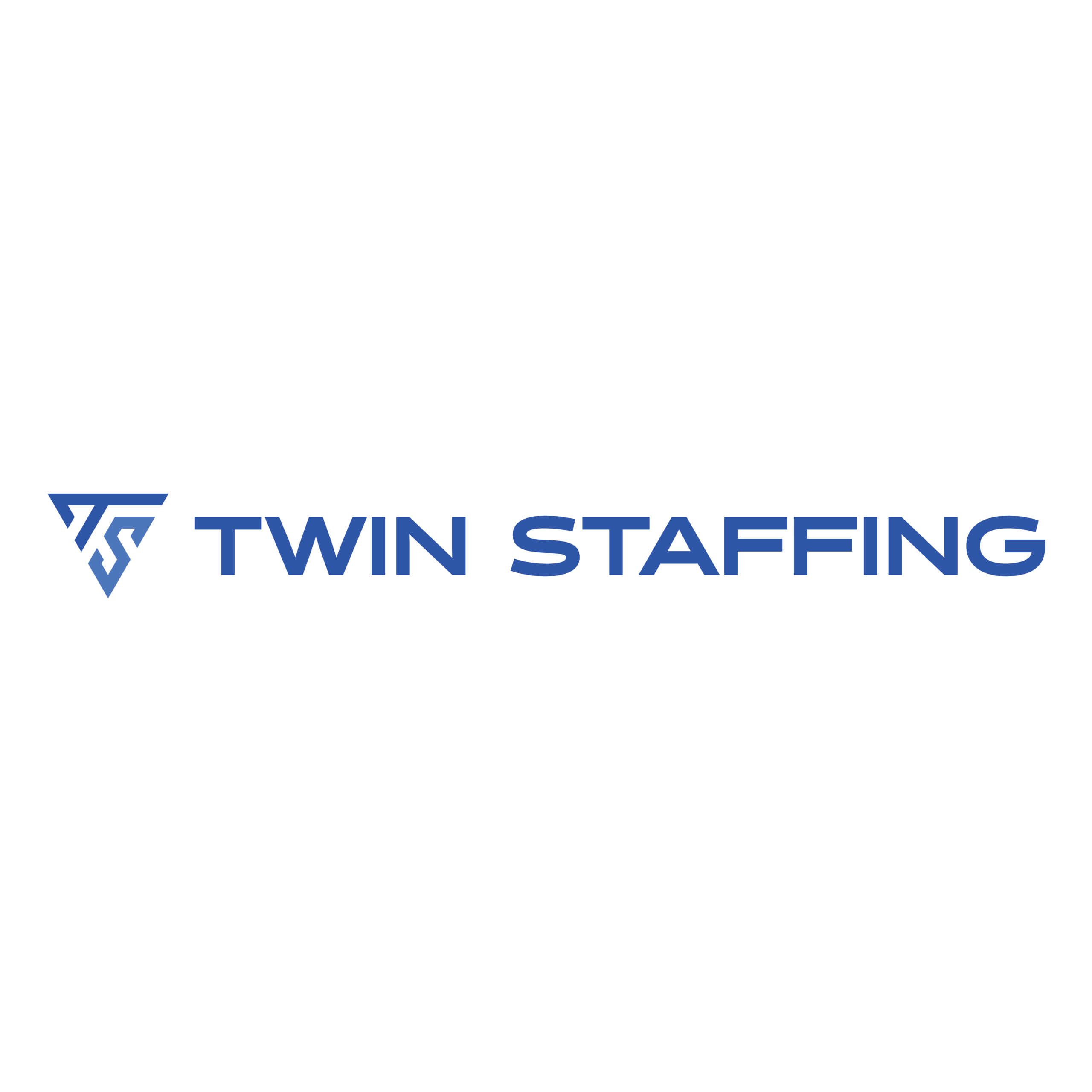TwinStaffing_Primary-01
