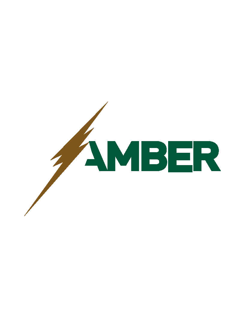 LOGO - Amber Only Letters