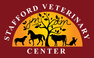 veterinarian-stafford-springs-ct-3