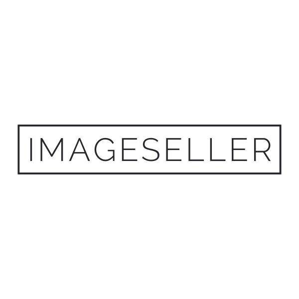 ImagesellerLogo