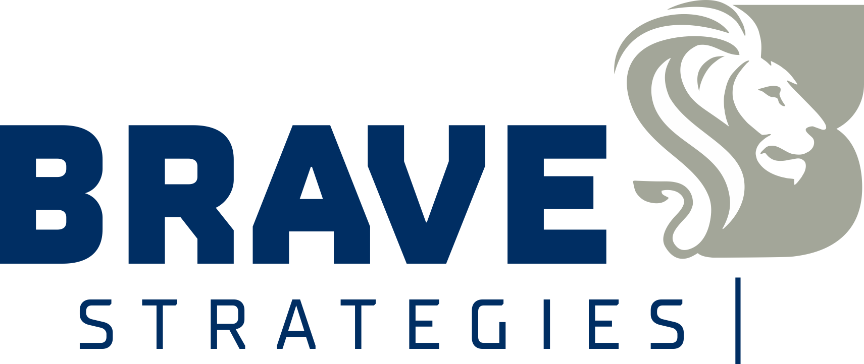 BraveStrategies RGB Color Logo