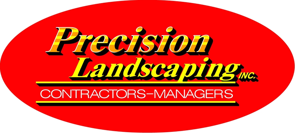 Precision LOGO3
