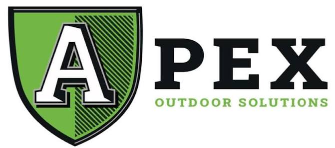 Apex Logo