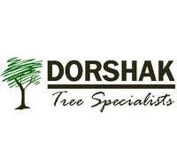 Dorshak logo