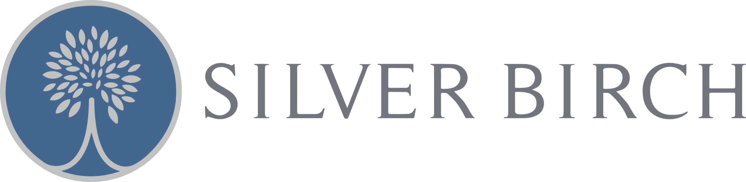 Silver Birch Vector Horizontal